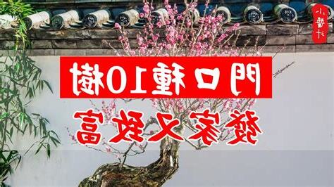 門口左右 邊種樹